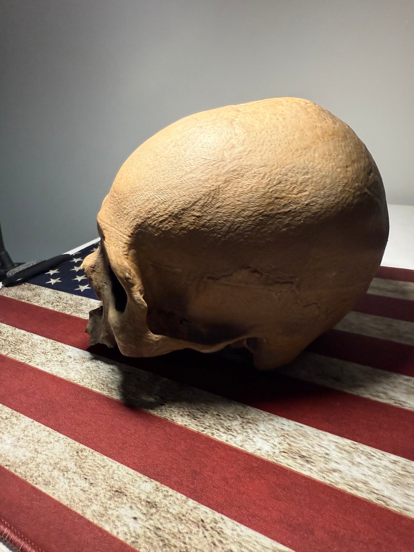Blank Aged Skull